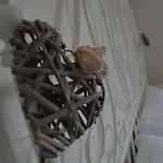 Bed and Breakfast La Via Di Casa 4*