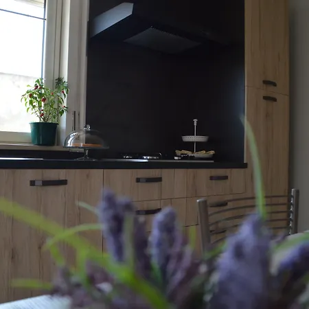 La Via Di Casa Сан-Леоне